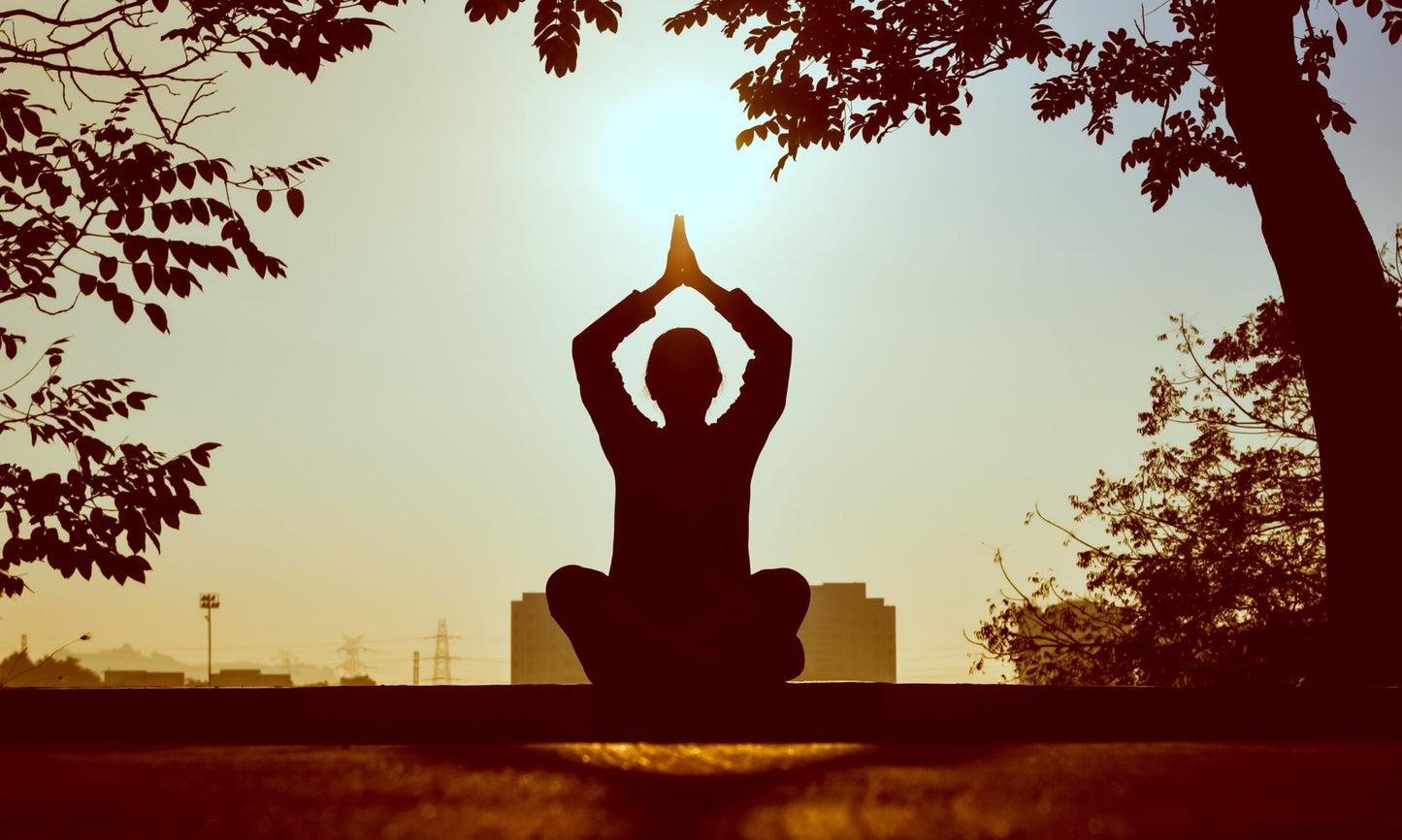 Yogatherapie Ausbildung 2026 Teilnahme erst nach Abschluss der Nada- Prana Atem. - und Klangtherapieausbildung