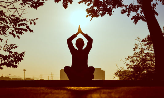 Yogatherapie Ausbildung 2026 Teilnahme erst nach Abschluss der Nada- Prana Atem. - und Klangtherapieausbildung