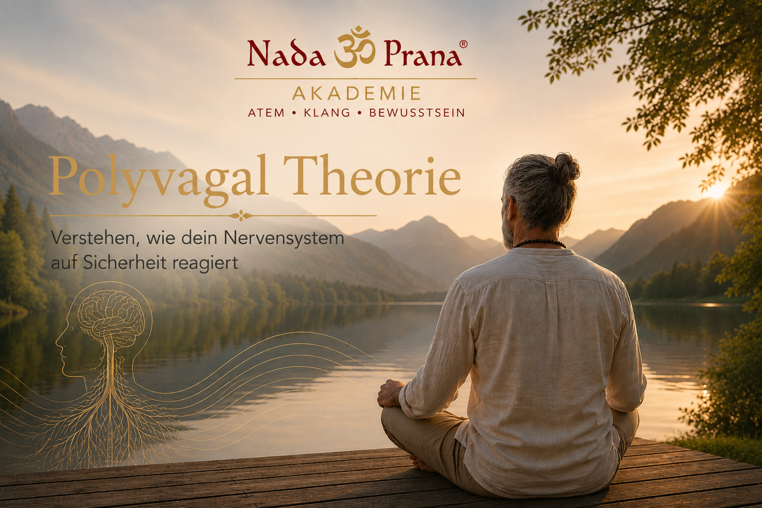 Polyvagaltheorie – warum dein Nervensystem auf Sicherheit reagiert